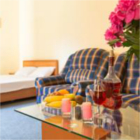 hotels in lviv-hotel-city center contrabas hotel